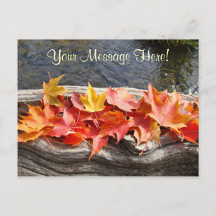 Custom Postcards Red Orange Yellow Fall Leaves