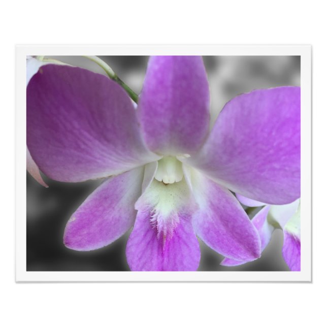 Custom Printed 16 x 20 Photo Enlargement (Front)