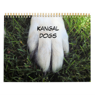 Custom Printed Calendar