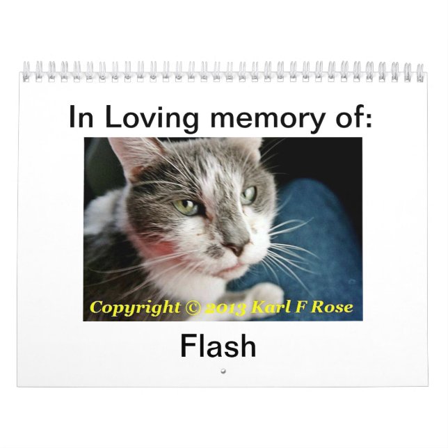 Custom Printed Cat Calendar (Cover)