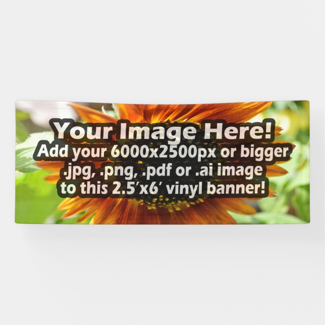 Custom Printed Vinyl Full-Colour Printing Wide Banner (Horizontal)