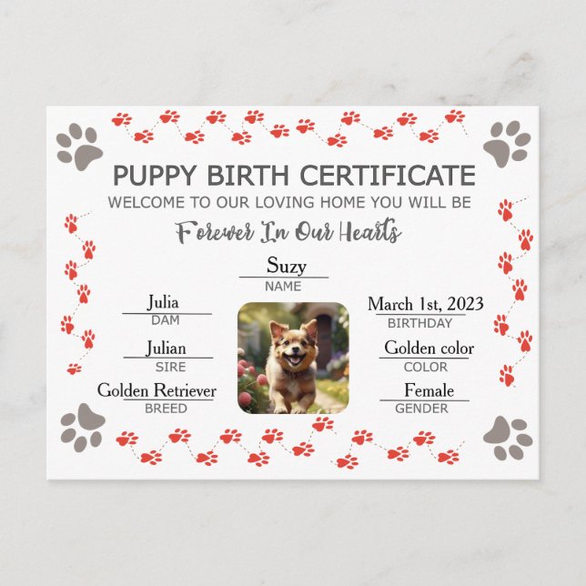 Custom Puppy Birth Certificate Holiday Postcard (Front)