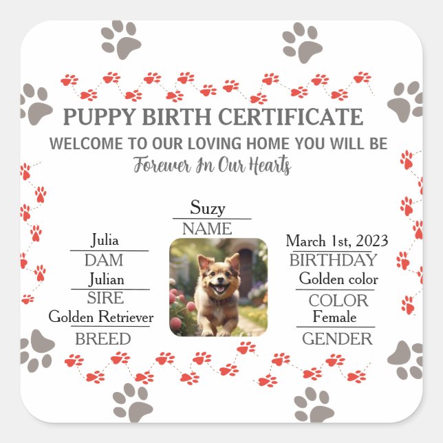 Custom Puppy Birth Certificate Square Sticker (Front)