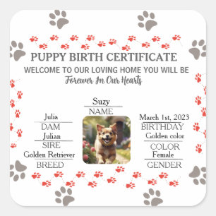 Custom Puppy Birth Certificate Square Sticker