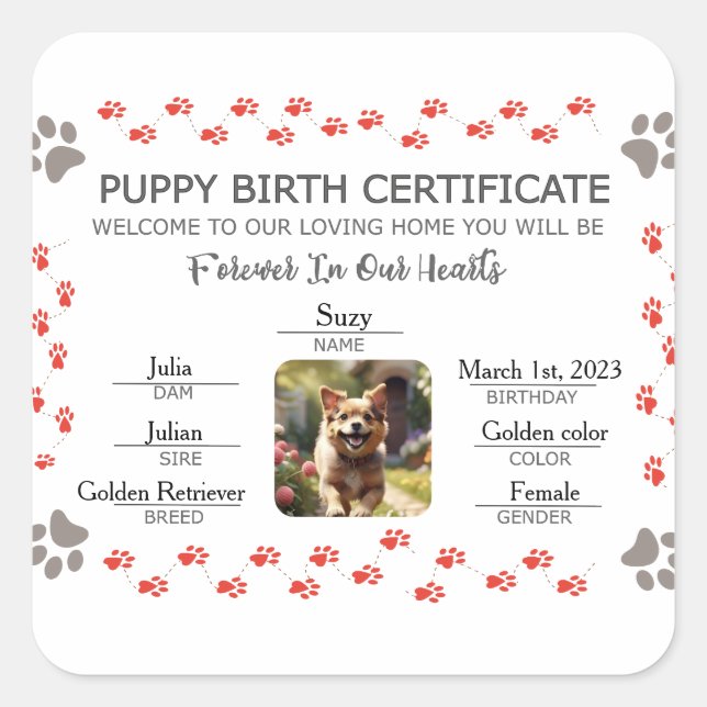Custom Puppy Birth Certificate Square Sticker (Front)