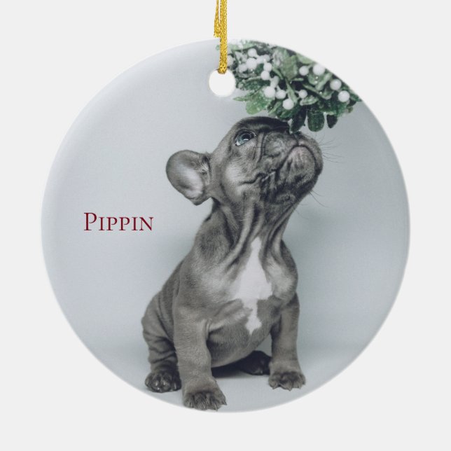 Custom Puppy Dog Pet Photo Ceramic Ornament (Back)