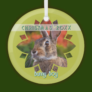 Custom Rabbit Photo on Yellow Green Glass Tree Decoration