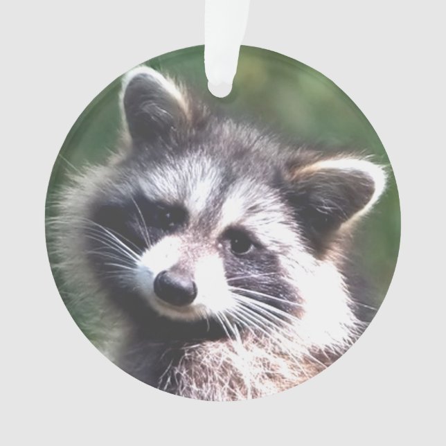 Custom Racoon Photo Ornament (Front)