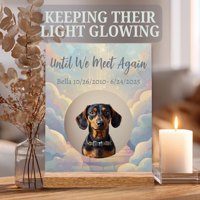 Custom Rainbow Bridge Pet Memorial Acrylic Sign (Custom rainbow bridge pet memorial acrylic with personalized photo and 'Until We Meet Again' text.)
