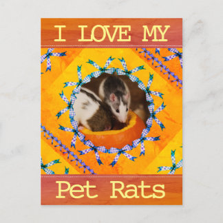Custom Rat Photo I Love my Pet Rats Postcard