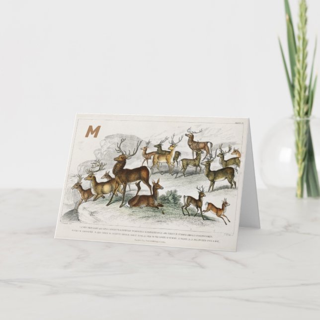 Custom Red Deer Hart, Hind, Roebuck, Musk Deer Holiday Card (Front)