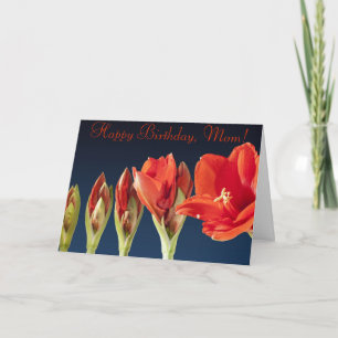 Custom Red Gladiolus Happy Birthday Card for Mum
