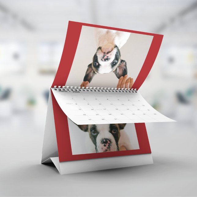 Custom Red Pet Photo  Calendar (Creator Uploaded)