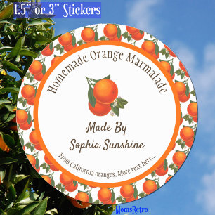 Custom Retro Oranges Pattern Classic Round Sticker