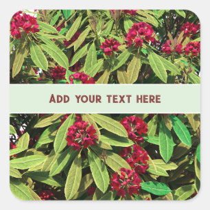 Custom Rhododendron Bloom Square Sticker