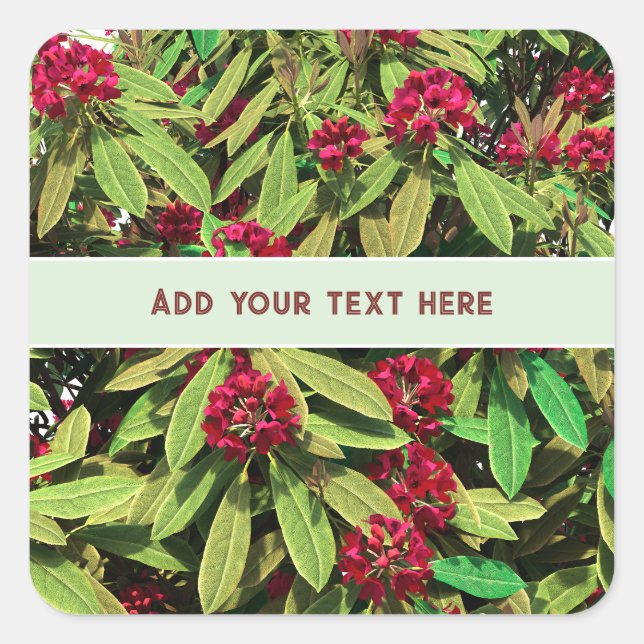 Custom Rhododendron Bloom Square Sticker (Front)