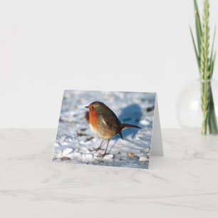 Custom Robin in the Snow Holiday Card