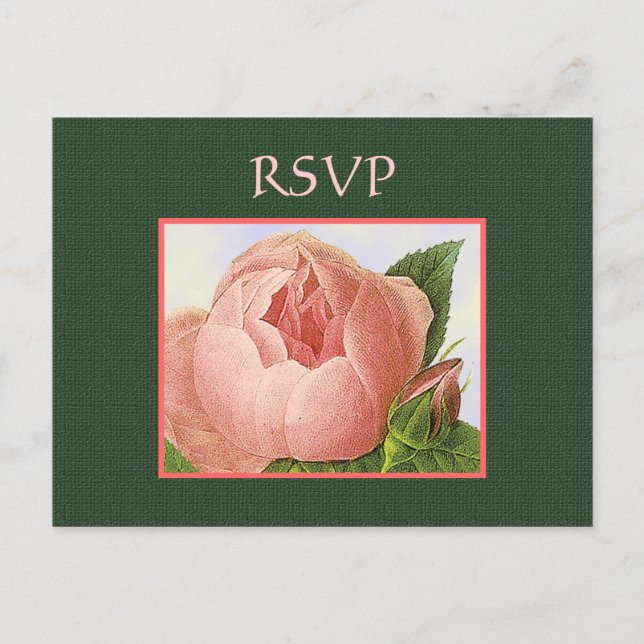 Custom RSVP Botanical Pink Roses Postcard (Front)