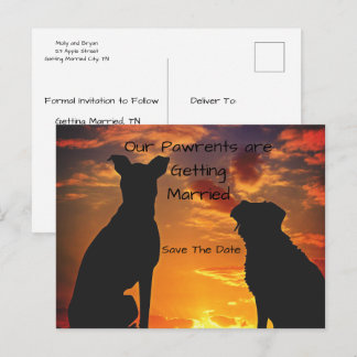 Custom Save the Date from the Dogs Announcement Postcard
