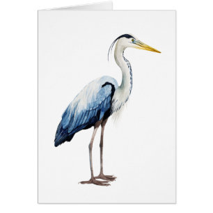 Custom Seabird Heron II
