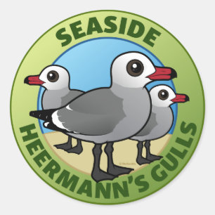 CUSTOM Seaside Heermanns Gulls Classic Round Sticker