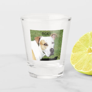 Custom Shot Glass with picture of beloved pet