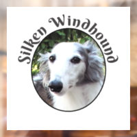 Custom Silken Windhound