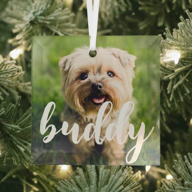 Custom Simple Elegant Pet Photo Glass Ornament (Insitu)
