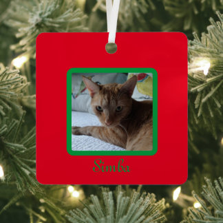 Custom Simple Modern Pet Photo Red Green Metal Tree Decoration