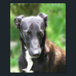 Custom Size 8 X 10 Photo Print<br><div class="desc">Custom print 8 X 10 photo resize enlargement from your favourite picture or photos.</div>