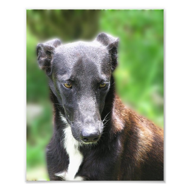 Custom Size 8 X 10 Photo Print (Front)