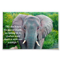 Custom Slogan/Conservation Elephant Bull