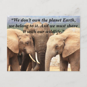 Custom Slogan/Conservation Elephant Family Holiday Postcard