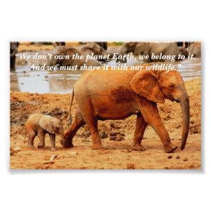 Custom Slogan/Conservation Elephant Mother & Calf Photo Print