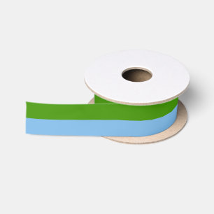 Custom Spring Green and Pastel Denim Blue Satin Ribbon