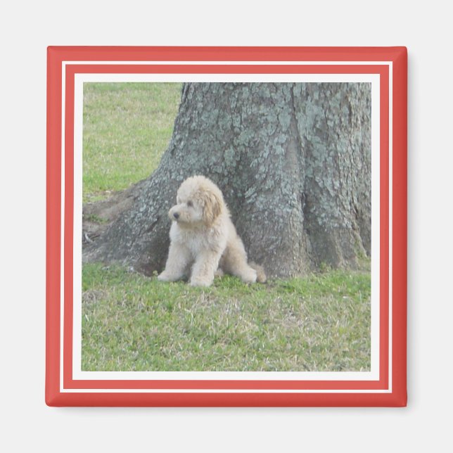 Custom Square Photo Template Classic Red & White Magnet (Front)
