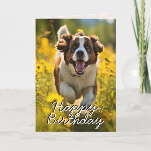 Custom St. Bernard Happy Birthday Card