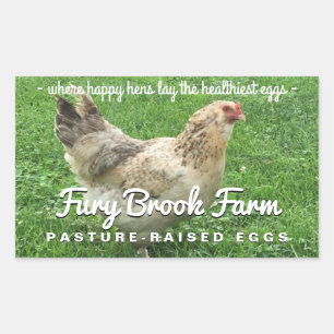 Custom Sticker for Kristina