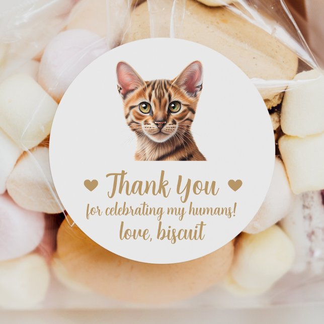 Custom Tabby Cat Wedding Favour Stickers (Creator Uploaded)