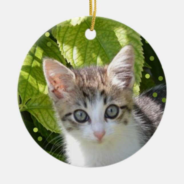 Custom Tabby Kitten Photo Ceramic Tree Decoration (Front)