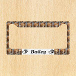 Custom Template Photo Pet Cat Dog Licence Plate Frame<br><div class="desc">This design may be personalised in the area provided by changing the photo and/or text. Or it can be customised by choosing the click to customise further option and delete or change the colour, the background, add text, change the text colour or style, or delete the text for an image...</div>