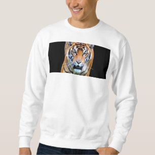 Custom Template Walking Tiger Modern Men's Basic Sweatshirt