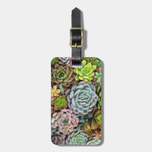 Custom text Cactus Succulents luggage tag
