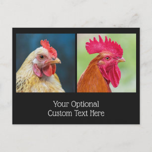 Custom Text Chicken & Rooster Postcard