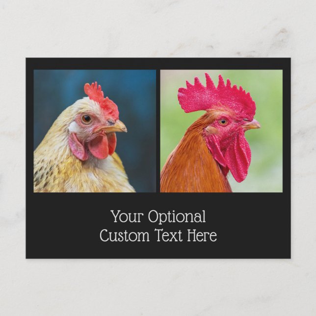 Custom Text Chicken & Rooster Postcard (Front)