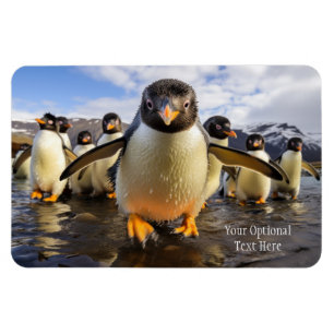 Custom Text Cool Penguins Magnet