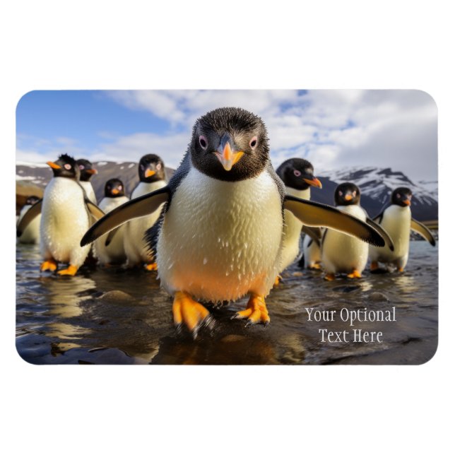 Custom Text Cool Penguins Magnet (Horizontal)