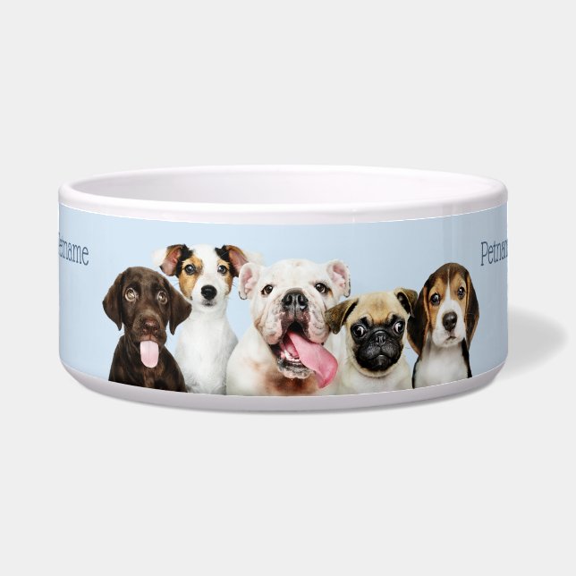 Custom text Cute Puppies (Front)