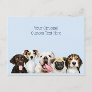 Custom text Cute Puppies Postcard