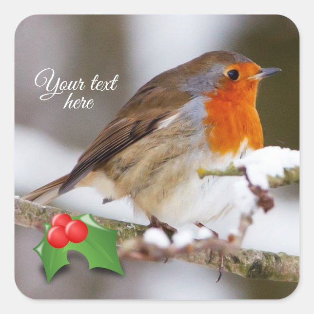 Custom Text Cute Robin in snow  Square Sticker (Front)
